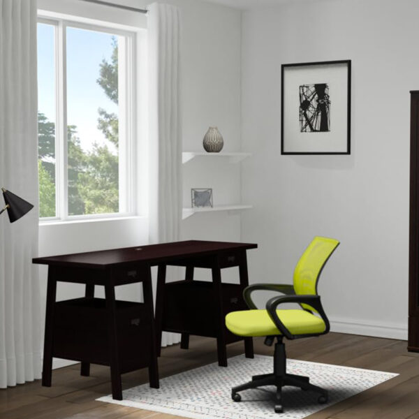 Ergonomic Chairs 1